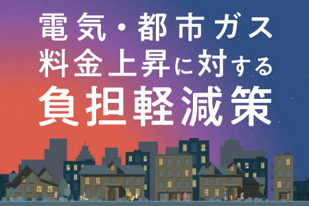 激変緩和対策事業